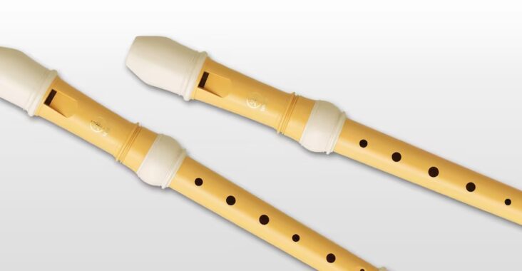 Kenali Recorder Alat Musik Murah tapi Berkelas