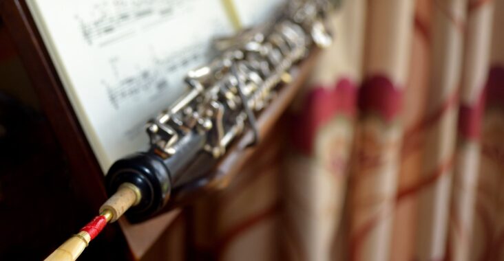 Tips Memilih Reed Terbaik untuk Klarinet dan Oboe